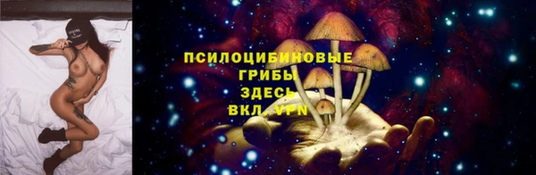 молекула духа Беломорск