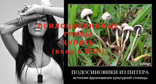 гашик Белокуриха