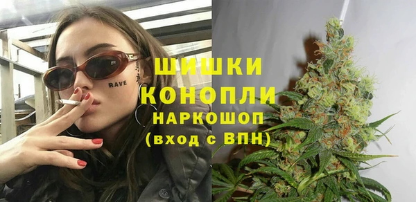 сатива Богородицк