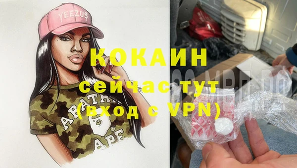 сатива Богородицк