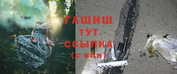 гашик Белокуриха