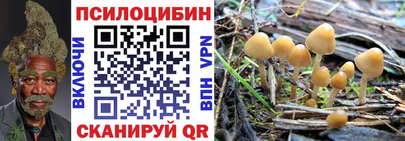 Галлюциногенные грибы Psilocybine cubensis  hydra tor  Венёв 